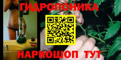 ГАЛЛЮЦИНОГЕННЫЕ ГРИБЫ Кунгур