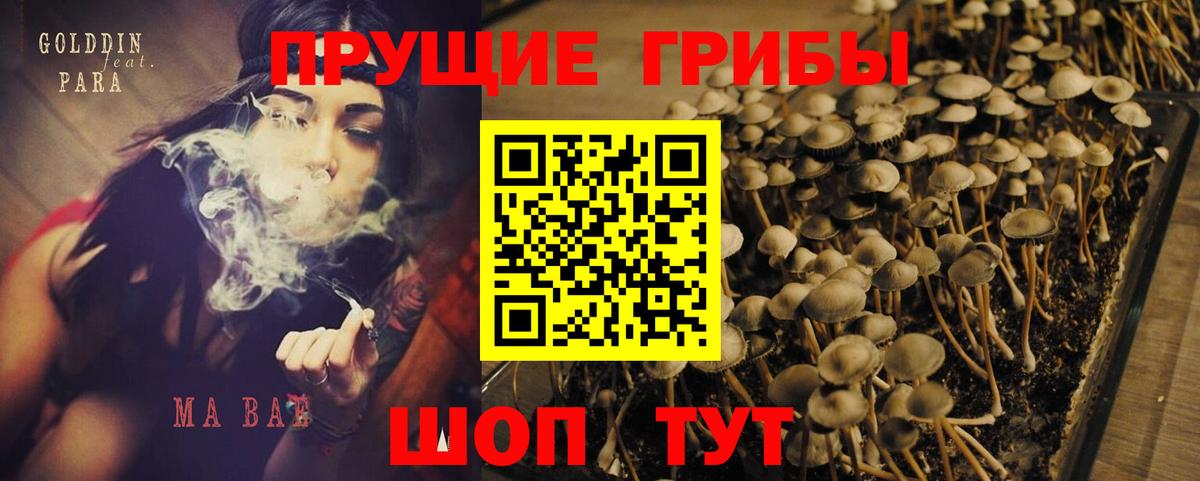 Псилоцибиновые грибы Cubensis  Вход с VPN  Усинск 
